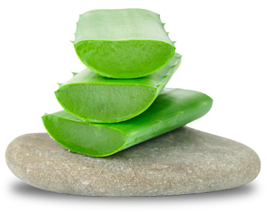 Herbalife Aloe Vera