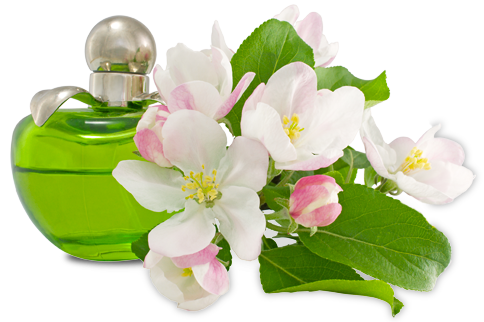 Herbalife Parfum
