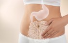 Mikrobiom und Allergien: Zusammenhang besser verstehen