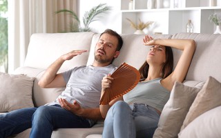 Paar leidet gemeinsam unter starker Sommerhitze