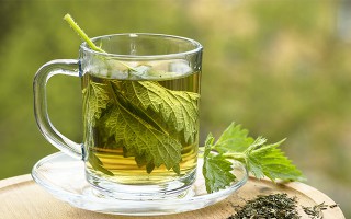 Brennnesseltee in einer Glastasse