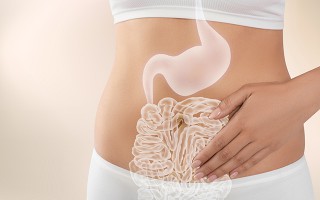 Frau berührt Bauch mit eingeblendeten Organen.