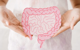 Hände halten Modell eines menschlichen Darms