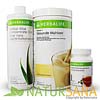 HERBALIFE Frühstücksprogramm Vanilla Crème